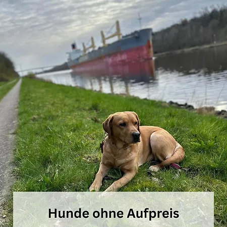 Knut *